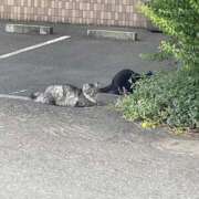 ヒメ日記 2026/07/07 23:36 投稿 No.4267 ダンベル 札幌ダイナマイト