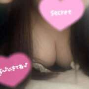 ヒメ日記 2026/02/26 00:51 投稿 No.3232 ミニミニ 札幌ダイナマイト