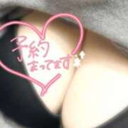 ヒメ日記 2025/12/14 20:36 投稿 No.7272 プリン体 札幌ダイナマイト