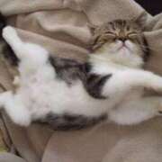 ヒメ日記 2025/08/14 20:31 投稿 らら 奥鉄オクテツ東京店（デリヘル市場）