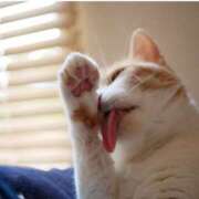 ヒメ日記 2025/08/15 22:38 投稿 らら 奥鉄オクテツ東京店（デリヘル市場）