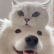 ヒメ日記 2025/08/17 01:45 投稿 らら 奥鉄オクテツ東京店（デリヘル市場）