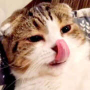 ヒメ日記 2025/08/19 11:01 投稿 らら 奥鉄オクテツ東京店（デリヘル市場）