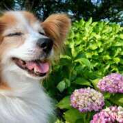 ヒメ日記 2025/09/13 00:27 投稿 らら 奥鉄オクテツ東京店（デリヘル市場）