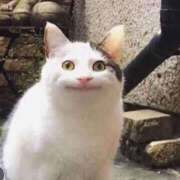 ヒメ日記 2025/09/25 23:14 投稿 らら 奥鉄オクテツ東京店（デリヘル市場）