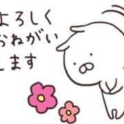 ヒメ日記 2025/11/26 09:54 投稿 らら 奥鉄オクテツ東京店（デリヘル市場）