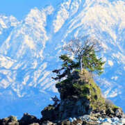 ヒメ日記 2026/01/08 14:03 投稿 らら 奥鉄オクテツ東京店（デリヘル市場）