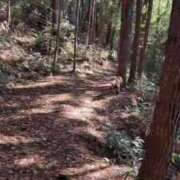 ヒメ日記 2026/03/06 09:29 投稿 らら 奥鉄オクテツ東京店（デリヘル市場）