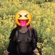 ヒメ日記 2026/04/08 21:22 投稿 らら 奥鉄オクテツ東京店（デリヘル市場）