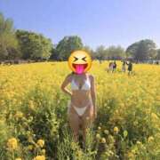 ヒメ日記 2026/04/08 21:30 投稿 らら 奥鉄オクテツ東京店（デリヘル市場）