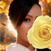 ヒメ日記 2026/04/16 02:17 投稿 らら 奥鉄オクテツ東京店（デリヘル市場）