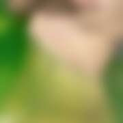 ヒメ日記 2025/10/04 15:44 投稿 ひかり 八王子デリ倶楽部