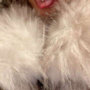 ヒメ日記 2025/12/27 18:47 投稿 ひかり 八王子デリ倶楽部