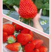 ヒメ日記 2026/01/04 16:58 投稿 ひかり 八王子デリ倶楽部