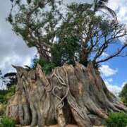 ヒメ日記 2025/11/03 17:36 投稿 ゆずき ぽっちゃり巨乳素人専門横浜関内伊勢佐木町ちゃんこ