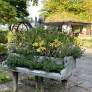 ヒメ日記 2025/08/08 13:39 投稿 平野 陽子 人妻セレブ宮殿