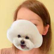 ヒメ日記 2025/08/09 12:19 投稿 平野 陽子 人妻セレブ宮殿