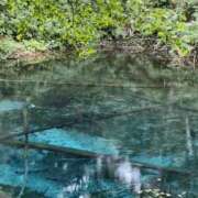 平野 陽子 [お題]from:答えは明日♪さん 人妻セレブ宮殿