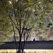 ヒメ日記 2025/10/11 18:16 投稿 このは 熟女総本店 日本橋ミナミエリア店