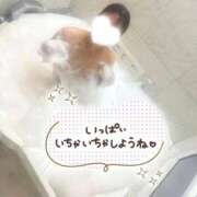 ヒメ日記 2026/01/29 12:38 投稿 岩元　ゆう 未熟な人妻