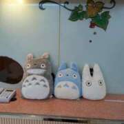 ヒメ日記 2025/10/19 14:00 投稿 りょうこ 成田人妻花壇