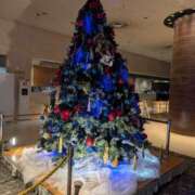 ヒメ日記 2025/12/01 23:25 投稿 りょうこ 成田人妻花壇