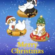 ヒメ日記 2025/12/24 23:13 投稿 りょうこ 成田人妻花壇