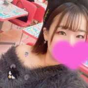 ヒメ日記 2025/12/19 13:01 投稿 かえで マリン土浦本店