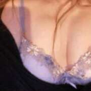 ヒメ日記 2025/08/14 14:50 投稿 きょうこ 石庭