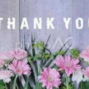 ヒメ日記 2025/10/10 08:50 投稿 きょうこ 石庭