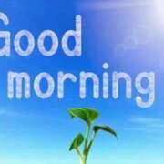 ヒメ日記 2025/10/18 06:50 投稿 きょうこ 石庭