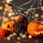 ヒメ日記 2025/10/24 16:30 投稿 きょうこ 石庭