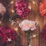 ヒメ日記 2025/10/31 19:20 投稿 きょうこ 石庭