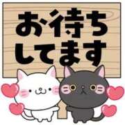 ヒメ日記 2025/10/31 23:00 投稿 きょうこ 石庭