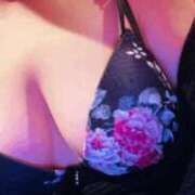 ヒメ日記 2025/11/06 18:20 投稿 きょうこ 石庭