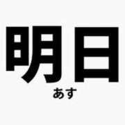 ヒメ日記 2025/11/12 15:10 投稿 きょうこ 石庭