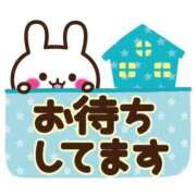 ヒメ日記 2025/11/21 09:25 投稿 きょうこ 石庭