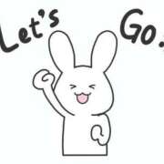 ヒメ日記 2025/12/02 12:50 投稿 きょうこ 石庭