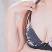 きょうこ 終了まで後少し… 石庭