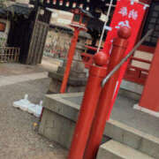 まなか また明日です Queen Angel(クイーンエンジェル)