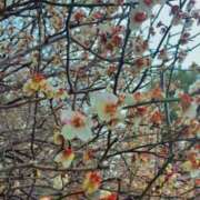 ヒメ日記 2026/02/27 16:44 投稿 まなか Queen Angel(クイーンエンジェル)