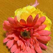 ヒメ日記 2025/10/17 18:53 投稿 しょうこ 奥様はエンジェル　八王子店