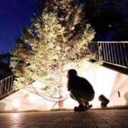 ヒメ日記 2025/08/23 18:15 投稿 新堂　りま #性欲解放区　梅田人妻性感デトックス