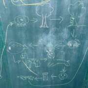 ヒメ日記 2025/12/27 09:52 投稿 新堂　りま #性欲解放区　梅田人妻性感デトックス