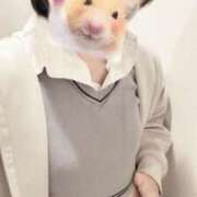 ヒメ日記 2025/09/14 22:54 投稿 あね コンカフェ×オナクラ あいこねくと