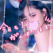 ヒメ日記 2025/12/11 08:03 投稿 みお 人妻倶楽部 内緒の関係 越谷店