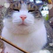 ヒメ日記 2025/11/04 06:54 投稿 小池涼子(こいけりょうこ) 五十路マダムエクスプレス厚木店(カサブランカグループ)