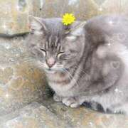 ヒメ日記 2025/11/08 08:22 投稿 小池涼子(こいけりょうこ) 五十路マダムエクスプレス厚木店(カサブランカグループ)