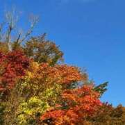 ヒメ日記 2025/11/17 09:34 投稿 小池涼子(こいけりょうこ) 五十路マダムエクスプレス厚木店(カサブランカグループ)