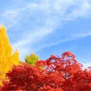 ヒメ日記 2025/11/24 07:36 投稿 小池涼子(こいけりょうこ) 五十路マダムエクスプレス厚木店(カサブランカグループ)